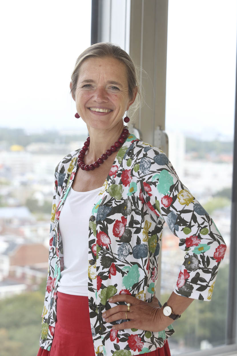 Prof. dr. H. Vandenhove